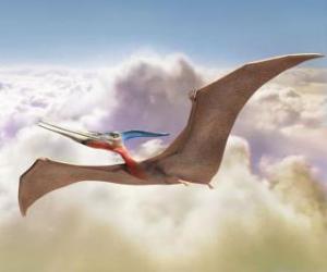 yapboz Pterodactyl uçan